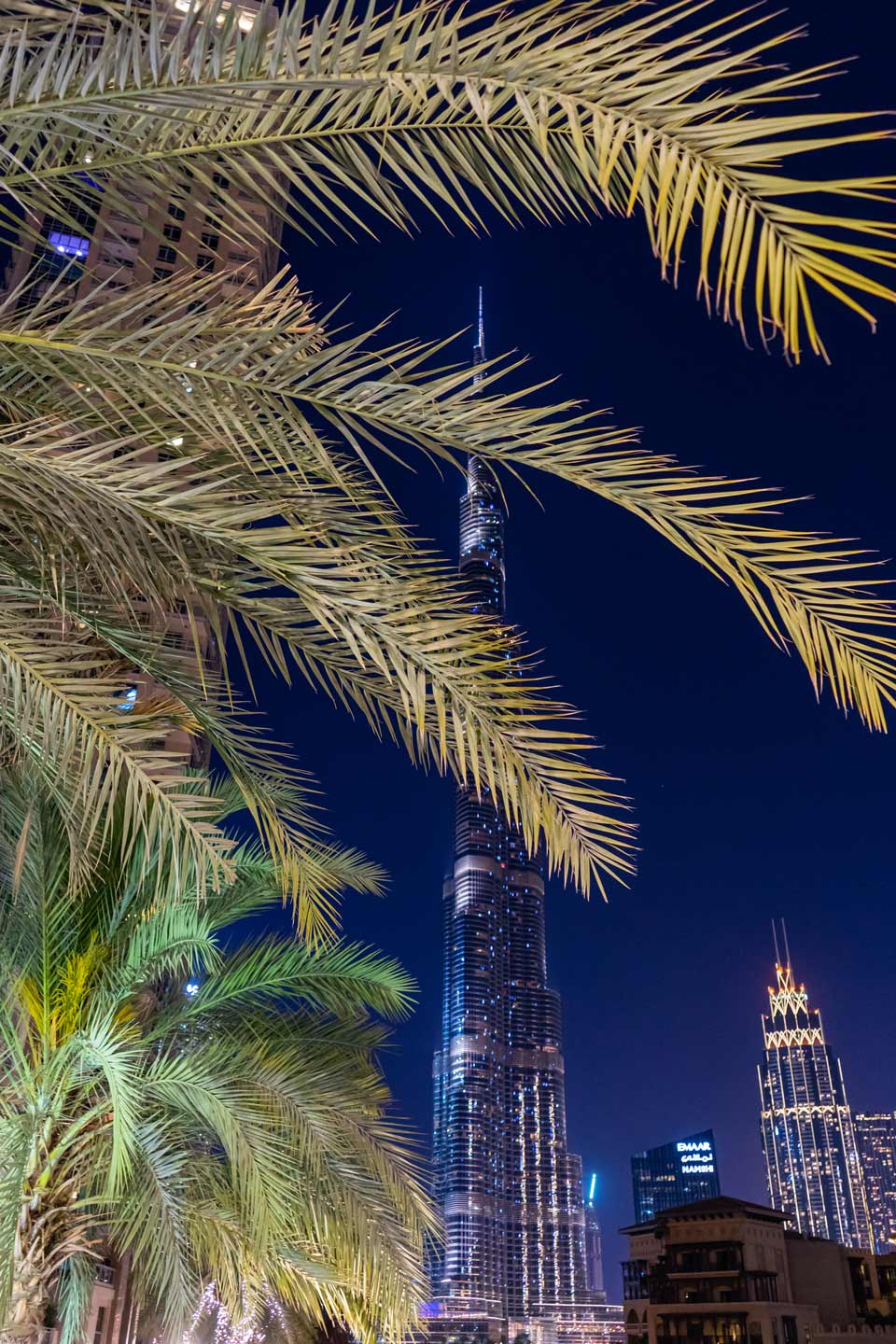 Burj Khalifa behind a palm tree