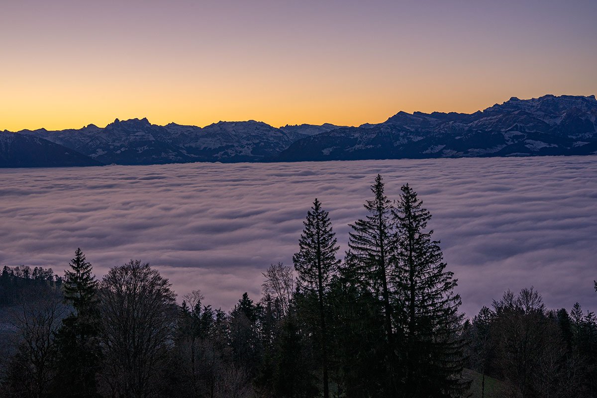 Swiss Alps seen from Bachtel